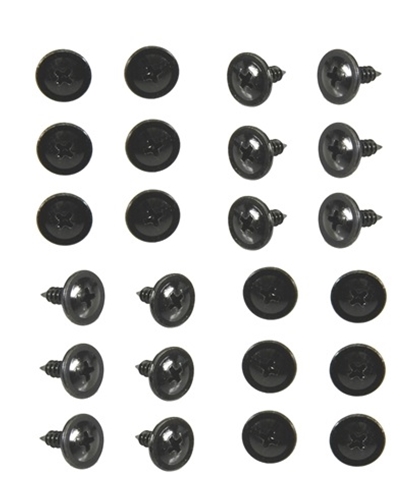 1967-69 "F" BODY WEATHERSTRIP CHANNEL SCREW SET, CORRECT